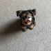 Ruth Meade - Facebook