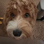 Ruth Messick - @truthrtcp - Instagram