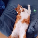 Ruth Meyer - @ruth.meyer.1968 - Instagram