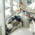 Ruth Miles - @milesfam - Instagram
