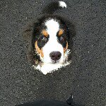 Ruth Miles - @truthmiles - Instagram