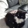 Ruth Comeau Milligan - @ruthcomeaumilliga - TikTok