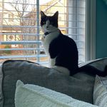 Ruth Comeau Milligan - @milliganruth - Instagram