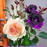 Ruthmilton - @ruthmiltonruthmilton - Instagram