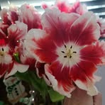 Ruth Misner - Facebook