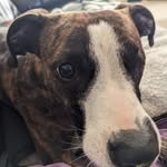 Ruth Mitchell - @thrivewithruth - Instagram