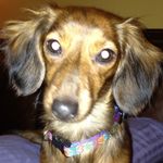 Ruth Morelli Byer - @ruthbyer - Instagram