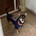 Ruth Mowery - @ruthmowery - Instagram