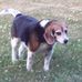 Ruth Muse Schreiber - Facebook