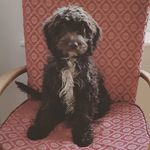 Ruth Needham - @needham.ruth - Instagram
