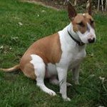 Ruth Neill - @ruth.neill2 - Instagram