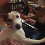 Ruth Neill - @neill9708 - Instagram
