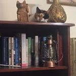 Ruth neill - @neill3300 - Instagram