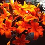 Ruth Northam - @ruth.northam - Instagram