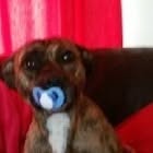 Ruth Nutt - Facebook