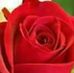 Ruth Olmeda - Facebook