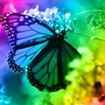 Ruth Olsen - @tigerruth56 - Instagram