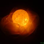 Ruth Sharon Oppermann - @ruth.sharon.oppermann - Instagram