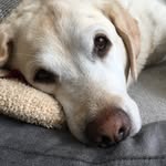 Ruth Osten - @ruthosten - Instagram