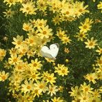 Ruth Park - Facebook