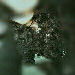 Ruth Quenta Arce - @ruth_park_ - Instagram