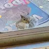 ruthparks681 - @ruthparks681 - TikTok
