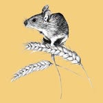 Ruth Parry - @harvestmouse_laser_gifts - Instagram