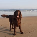 Ruth Parsons - @ruth.o.parsons - Instagram
