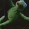 rutepattison - @rutepattison - TikTok
