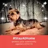 Ruth Payton - @user87077284 - TikTok