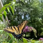 Ruth Danny Peeples - @peeples1958 - Instagram