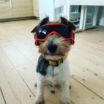 🙃Ruth Peet - @ruthpeet - Instagram