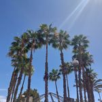 Ruth Peeters - @ruth.peeters2 - Instagram