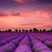 Ruth Peter - Facebook