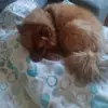 Ruth Petrovic - @ruth.petrovic - TikTok