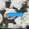 ruthpia - @ruthpia - TikTok