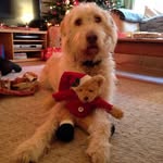 Ruth Pickford - @pickfordruth - Instagram