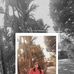 Ruth Patton Ruth Patton - Facebook