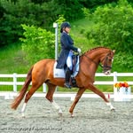 Ruth Hogan-Poulsen Dressage - @ruthhoganpoulsen - Instagram