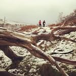 Ruth Poultney - @ruthpoultney - Instagram