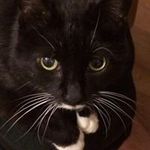 Ruth Prescott - @prescottruth - Instagram