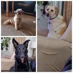 Ruth Pringle - @ruth.pringle.5 - Instagram