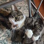 Ruth, ruthie, little shit - @ruthannpringles - Instagram
