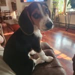 Ruth Cronmiller Puckett - @rupu1218 - Instagram