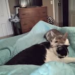Ruth Puckett - Facebook