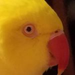 Ruth Putnam - @putnam7685 - Instagram