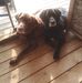 Ruth Quigley - Facebook