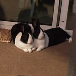 Ruth Quigley - @ruth.quigley28 - Instagram