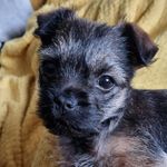 Ruth Rae Griffiths - @ruthraegriffiths - Instagram