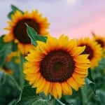 Ruth M. Rafael - @ruth.rafael - Instagram